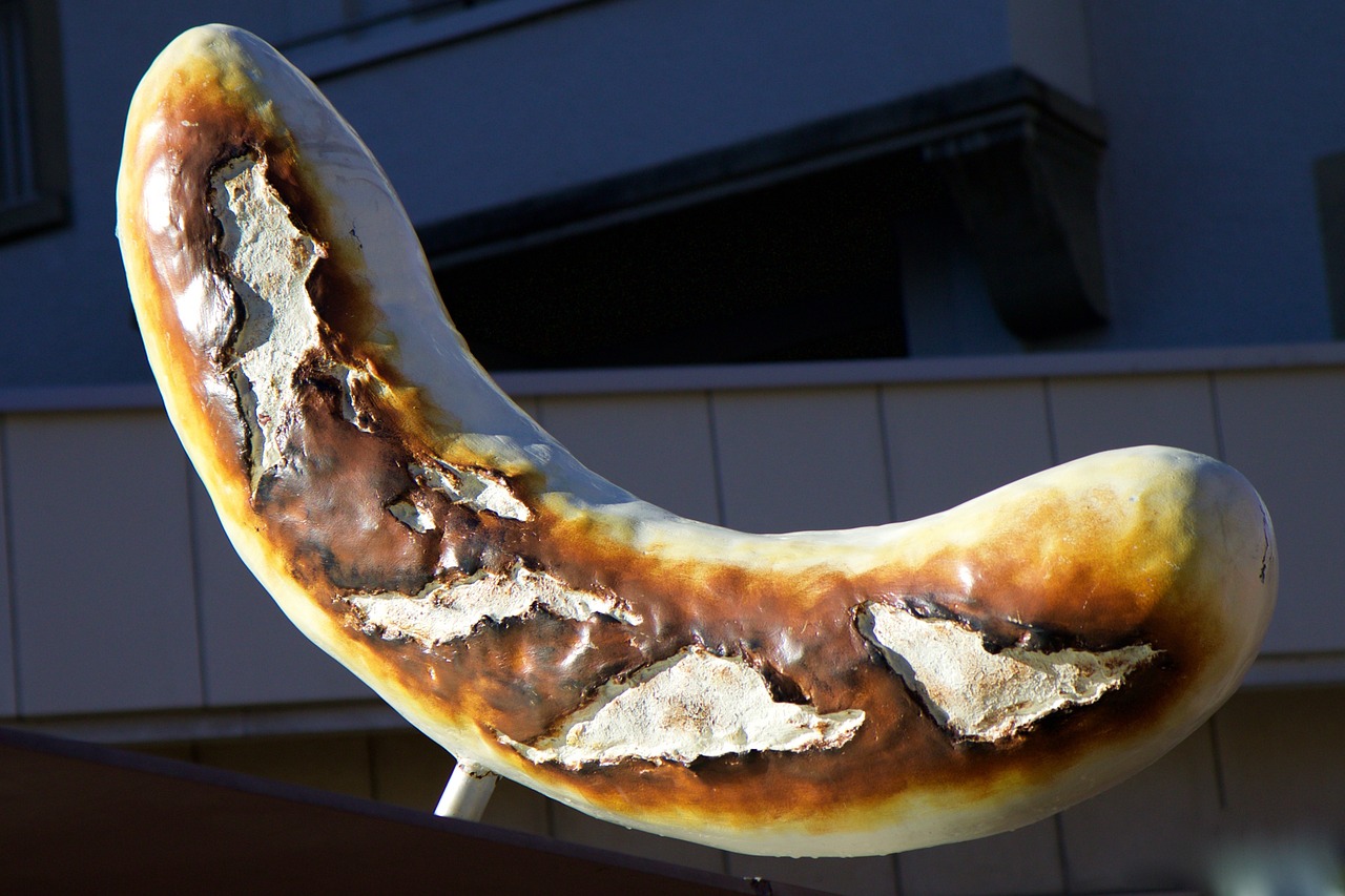 bratwurst-1174296_1280