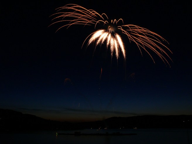 fireworks-139924_1280