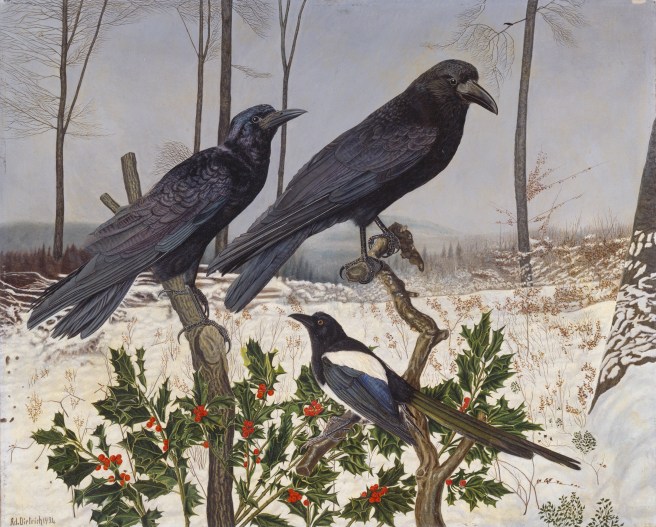 dietrichraben-und-elster