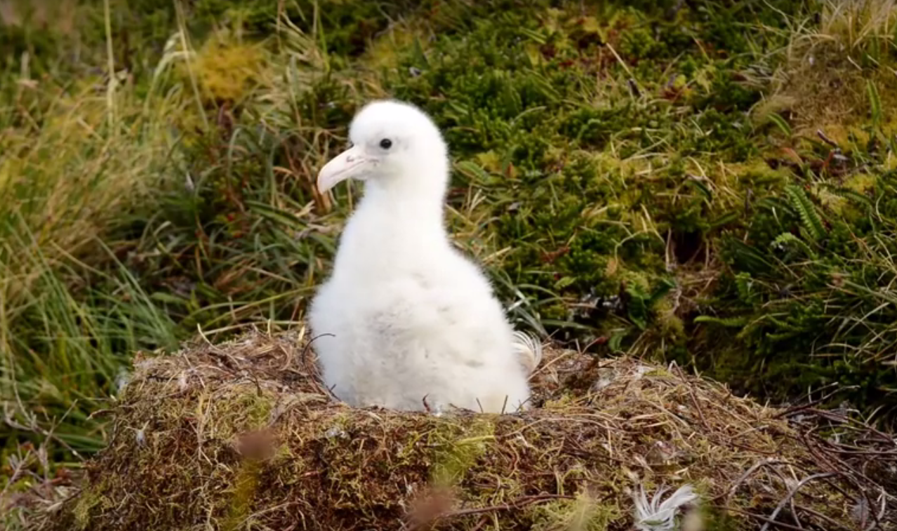 Bildschirmfoto 2018-07-02 um 15.10.48