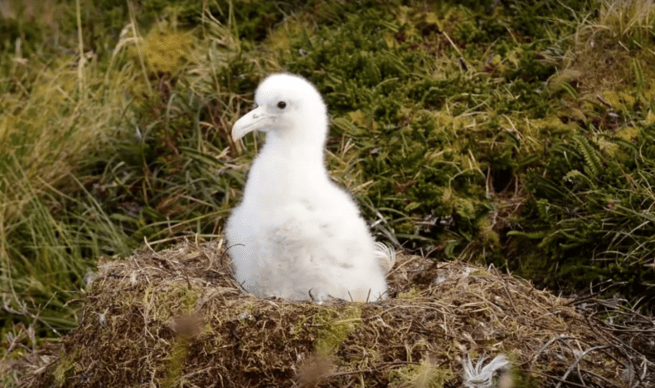 Bildschirmfoto 2018-07-02 um 15.10.48
