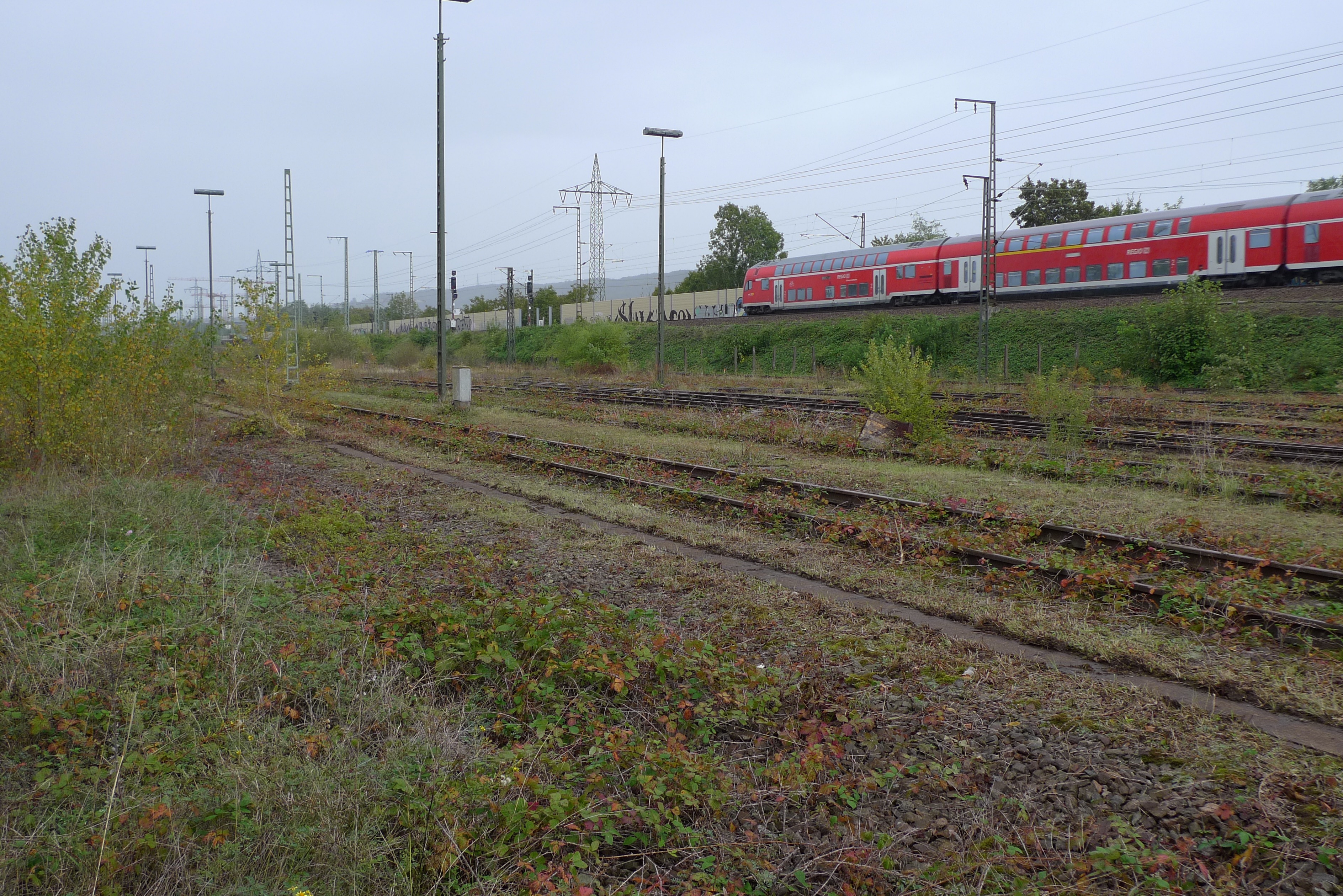 naturschutz-badischer-bahnhof