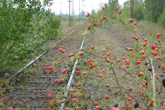 DB-badischer-bahnhof