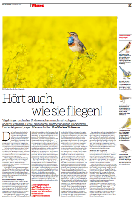 nzzamsonntag-vogellaute-hofmann